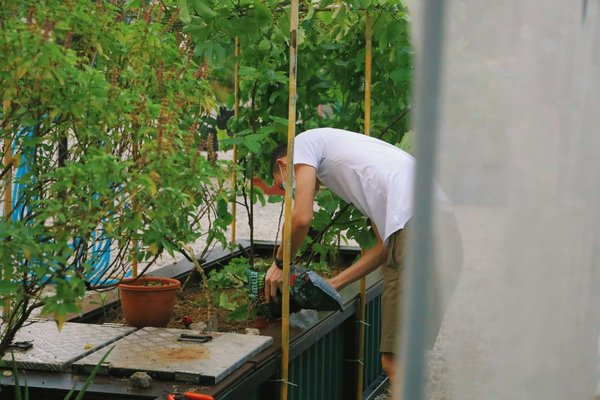 What Are the Mental Health Benefits of Urban Farming Communities in the UK?