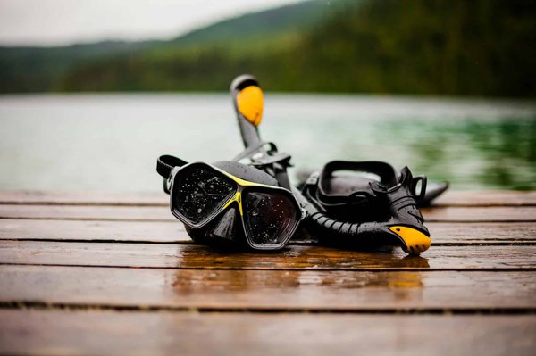 What Are the Essential Steps in Training a Dog for Dock Diving?